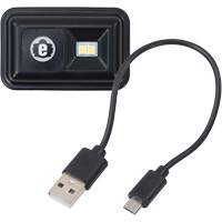 Lampe DEL rechargeable de rechange N-Ferno Southpoint Industrial Supply