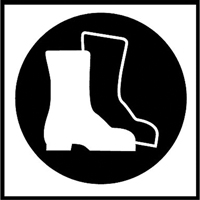 &eacute;tiquettes avec pictogramme Right to Know - Bottes, Vinyle, Feuille, 5/8" lo x 3/4" la Southpoint Industrial Supply