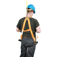 Miller<sup>®</sup> Titan™ Contractor's Harnesses, CSA Certified, Class AP, 400 lbs. Cap. SN067 | Southpoint Industrial Supply