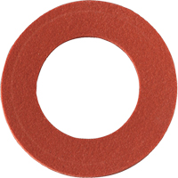 Replacement Inhalation Gaskets SR190 | Southpoint Industrial Supply
