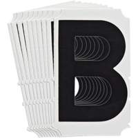 Quick-Align<sup>®</sup> Individual Gothic Number and Letter Labels, B, 4" H, Black SZ990 | Southpoint Industrial Supply