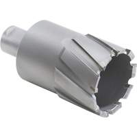 Annular Cutters