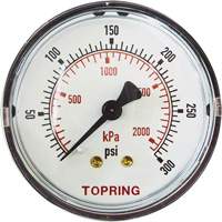 Replacement Pressure Gauge, 2" , 0 - 175 psi, Back Mount, Analogue Southpoint Industrial Supply