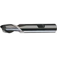 HG-2 Finishing End Mill, 5/16"/0.3125" Dia., 3-1/8"/79.38 mm L, 2 Flutes, 3/8"/9.52 mm Shank, High Speed Steel Southpoint Industrial Supply