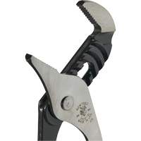 Pinces multiprise, 10" Southpoint Industrial Supply