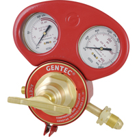153 Series - Gauge Protectors TTT894 | Southpoint Industrial Supply
