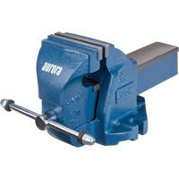 &eacute;tau d'&eacute;tabli robuste, Largeur des m&acirc;choires 5", Profondeur de la gorge 3-3/10" Southpoint Industrial Supply