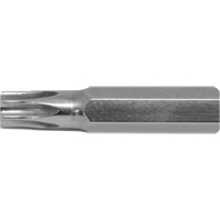 Stubby Multi-Bit Screwdriver -Replacement Bit, Torx, 15, 1/4" Drive Southpoint Industrial Supply