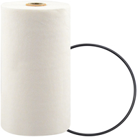 P7247 Filtre pour liquide de refroidissement &agrave; visser avec additif BTE Southpoint Industrial Supply