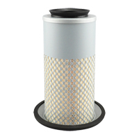 PA3833 &eacute;l&eacute;ment de filtre &agrave; air Southpoint Industrial Supply