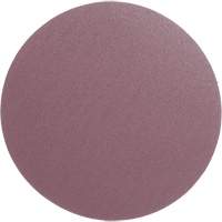 PSA Cloth Disc 348D, 12" Dia., 60 Grit, Aluminum Oxide, X-Weight Southpoint Industrial Supply