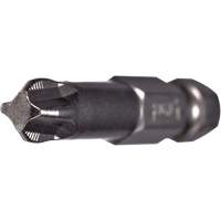 ACR&reg; Power Bit, Phillips, #2 Tip, 1/4" Drive Size, 2" Length Southpoint Industrial Supply