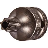 Embout &agrave; ins&eacute;rer, Torx inviolable, 8 x 3/4" lo, Prise 1/4" Southpoint Industrial Supply