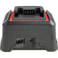 2.5 Ah & 5.0 Ah Battery Charger, 120 V, Lithium-Ion Southpoint Industrial Supply