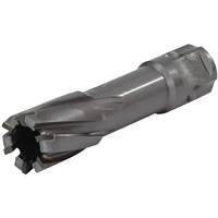 Universal Shank Annular Cutter, 1/2" Diameter, Carbide, 1" Depth of Cut, 3/4" Shank Southpoint Industrial Supply