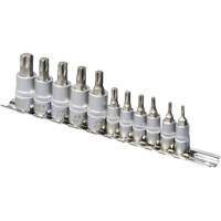 SS1438-11T Jeu de douilles chrom&eacute;es, Torx, Prise 1/4"/3/8", 10 mr Southpoint Industrial Supply