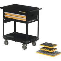 Mechanics Tool Set in Modular Foam Trays with Storage Unit, 194 Pieces Southpoint Industrial Supply