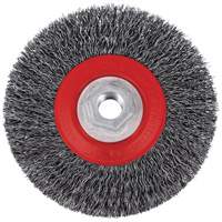 5C14T High Performance Crimped Wire Brush, 5" Dia., 0.014" Fill, 5/8"-11NC Arbor Southpoint Industrial Supply