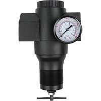 Aluminum Regulator, 1-1/2" NPT, 300 psi Max. PSI, In Line Southpoint Industrial Supply