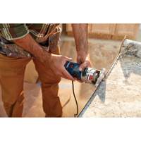 Colt Electronic Variable-Speed Palm Router Southpoint Industrial Supply