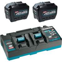 XGT Dual Port Rapid Charger Starter Kit with (2) 8 Ah Batteries, 40 V, Lithium-Ion Southpoint Industrial Supply