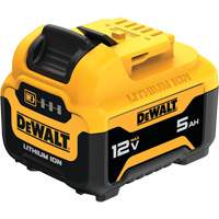 Bloc-pile MAX*, Lithium-ion, 12 V, 5 Ah Southpoint Industrial Supply