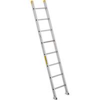Industrial Heavy-Duty Extension/Straight Ladders, 10', Aluminum, 300 lbs., CSA Grade 1A VC274 | Southpoint Industrial Supply