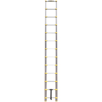 Telescopic Ladder, 3' - 12', Aluminum, 250 lbs. Capacity, Type 1 VC441 | Southpoint Industrial Supply