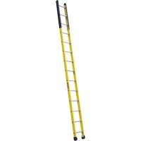 Single Manhole Ladder, 14', Fibreglass, 375 lbs., CSA Grade 1AA VD465 | Southpoint Industrial Supply