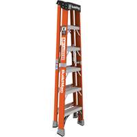 Escabeau, 6', Fibre de verre, Capacit&eacute; 375 lb, Type 1AA Southpoint Industrial Supply