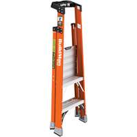 Safespace Platform Step Ladder, 2', 300 lbs. Cap. Southpoint Industrial Supply