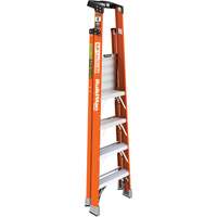 Safespace Platform Step Ladder, 4', 300 lbs. Cap. Southpoint Industrial Supply