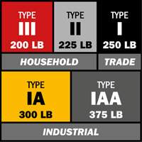 Step Ladder with Paint Tray, 10', Aluminum, 225 lbs. Capacity, Type 2 Southpoint Industrial Supply