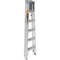 Step Ladder with Paint Tray, 6', Aluminum, 225 lbs. Capacity, Type 2 Southpoint Industrial Supply