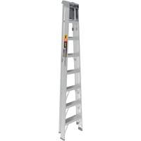 Step Ladder with Paint Tray, 8', Aluminum, 225 lbs. Capacity, Type 2 Southpoint Industrial Supply