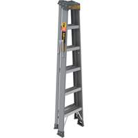 Step Ladder, 6', Fibreglass, 225 lbs. Capacity, Type 2 Southpoint Industrial Supply