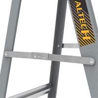 Step Ladder with Paint Tray, 6', Fibreglass, 225 lbs. Capacity, Type 2 Southpoint Industrial Supply