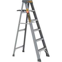 Step Ladder with Paint Tray, 6', Fibreglass, 225 lbs. Capacity, Type 2 Southpoint Industrial Supply