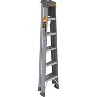 Step Ladder with Paint Tray, 6', Fibreglass, 225 lbs. Capacity, Type 2 Southpoint Industrial Supply