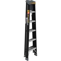Step Ladder with Paint Tray, 6', Fibreglass, 250 lbs. Capacity, Type 1 Southpoint Industrial Supply