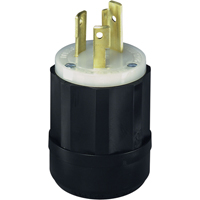 Industrial Grade Locking Device, Nylon, 30 A, 250 V, L6-30P Southpoint Industrial Supply
