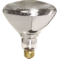 Economy Line Incandescent Lamps Southpoint Industrial Supply