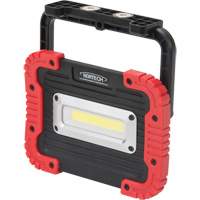 Portable Work Light, LED, 10 W, 1000 Lumens, Plastic Housing Southpoint Industrial Supply