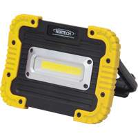 Portable Work Light, LED, 10 W, 1000 Lumens, Plastic Housing Southpoint Industrial Supply