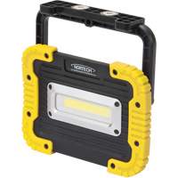 Portable Work Light, LED, 10 W, 1000 Lumens, Plastic Housing Southpoint Industrial Supply