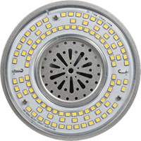 Ultra LED™ High Lumen Lamp, HID, 100 W, 13500 Lumens, Mogul Base XI565 | Southpoint Industrial Supply
