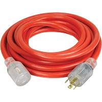 Generator Extension Cord with Quad Tap, 10 AWG, 30 A, 4 Outlet(s), 25' XI765 | Southpoint Industrial Supply