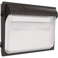 TWX3 Wall Luminaire, LED, 347 V, 14" H x 18" W x 5" D XI971 | Southpoint Industrial Supply