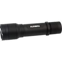 IP67 Flashlight, LED, 2000 Lumens, Rechargeable Batteries Southpoint Industrial Supply