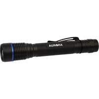 IPX7 Flashlight, LED, 250 Lumens, AA Batteries Southpoint Industrial Supply